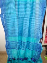 Pure Handloom Banswada Bhagalpur Cotton Saree in Firoza Blue with Indigo Border